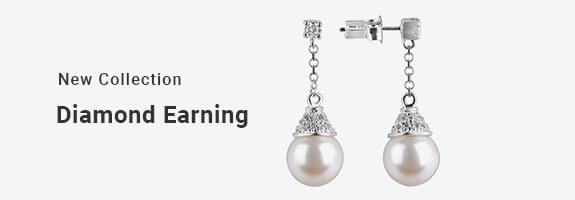 Shree Laxmi Jewellery Banner